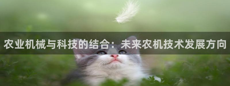 鸿运平台推荐