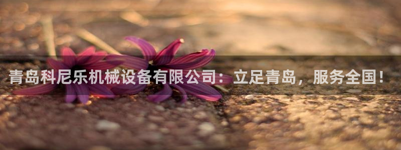 鸿运平台app下载