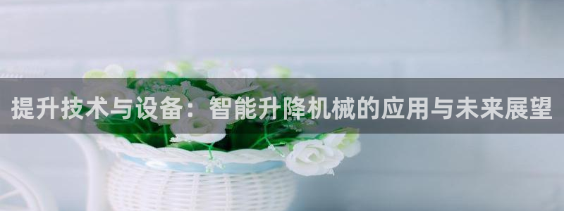 鸿运国际平台平台介绍