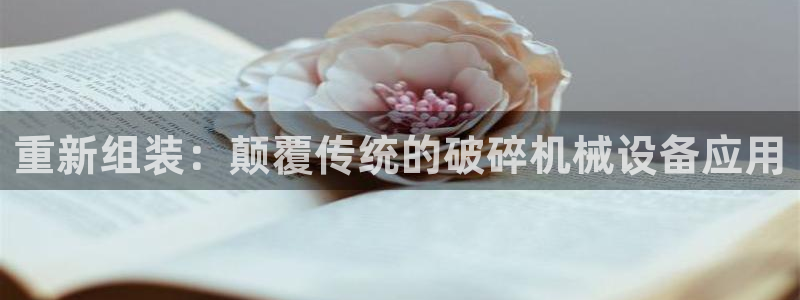 鸿运专业购彩平台网止
