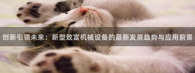 鸿运信任平台