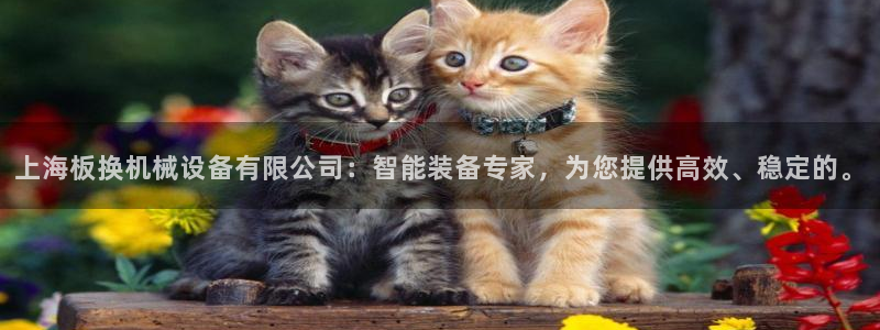 鸿运中国平台