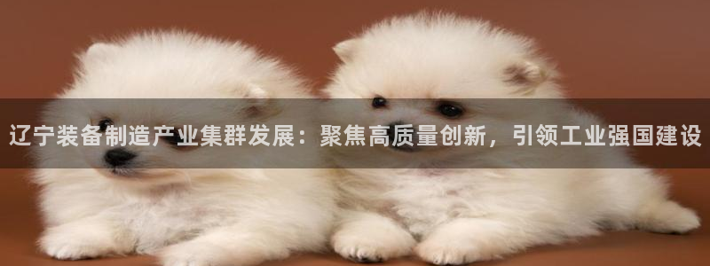 鸿运防水服务平台