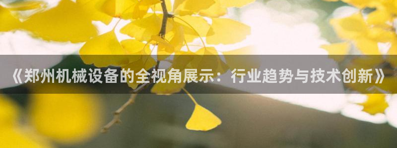鸿运网彩票平台