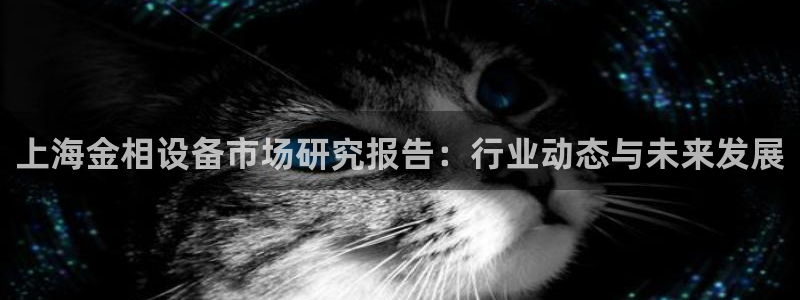 鸿运集团直播卖货平台