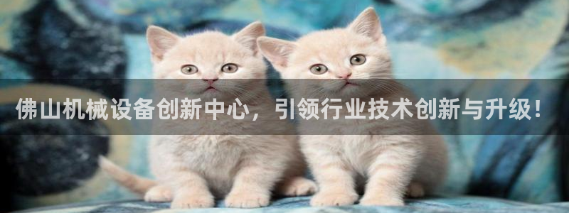 鸿运彩票平台黑