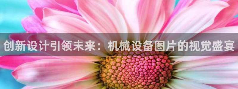 香港琥珀鸿运平台邀请码