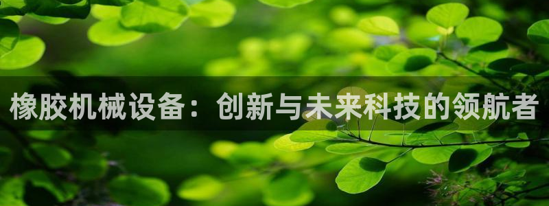 鸿运国际平台