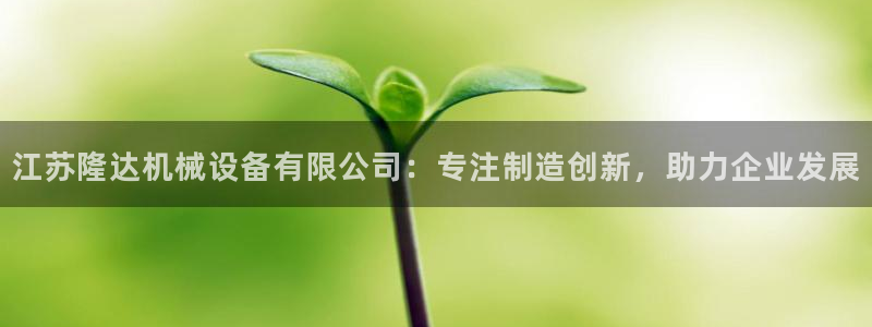 盛世鸿运是什么平台