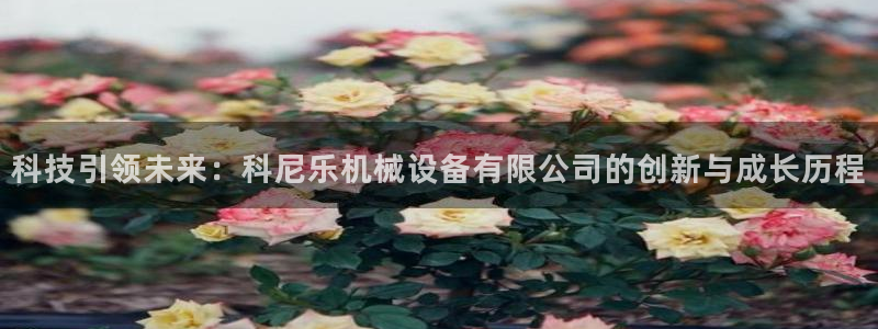 鸿运达交易平台