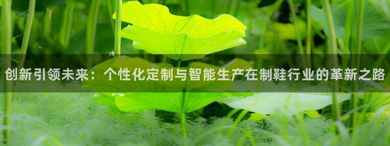 鸿运平台有哪些