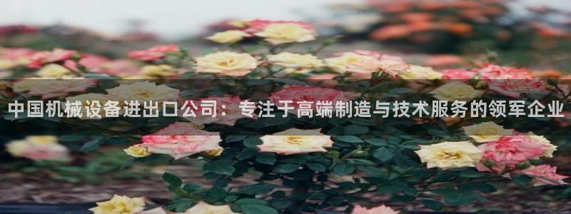 鸿运赌钱平台