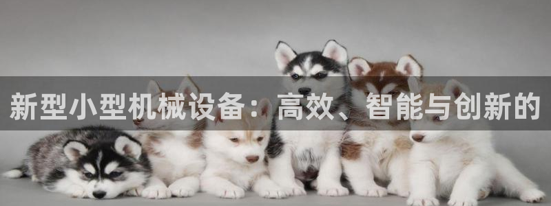 鸿运贷款平台正规吗