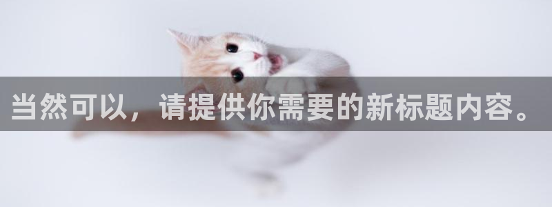 鸿运国际赌场平台