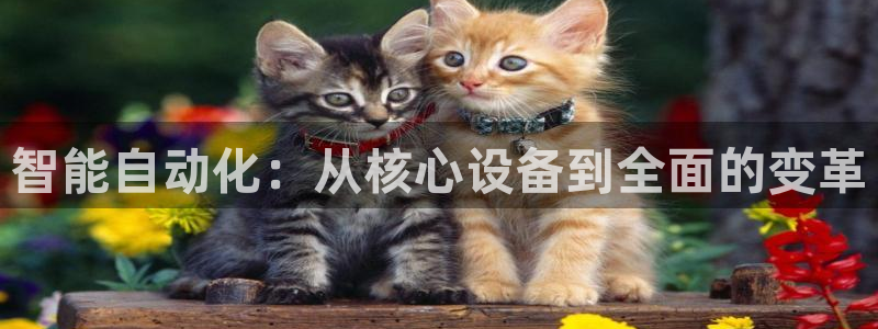 鸿运彩票平台注册