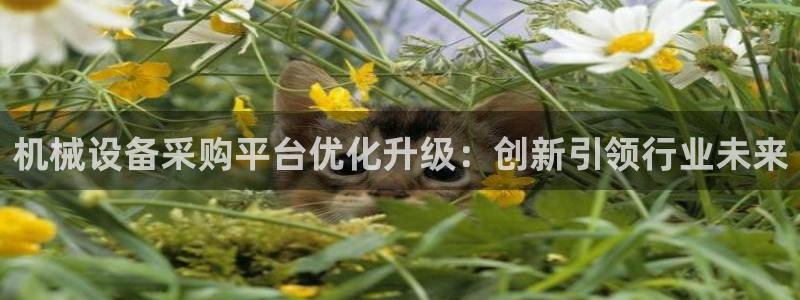 鸿运外汇平台