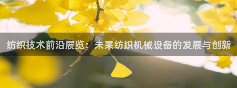 鸿运通宝平台