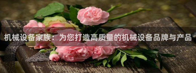 鸿运是黑平台吗