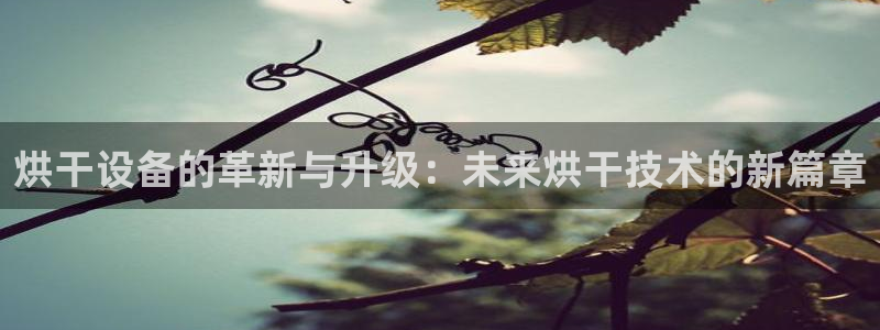 鸿运平台官方