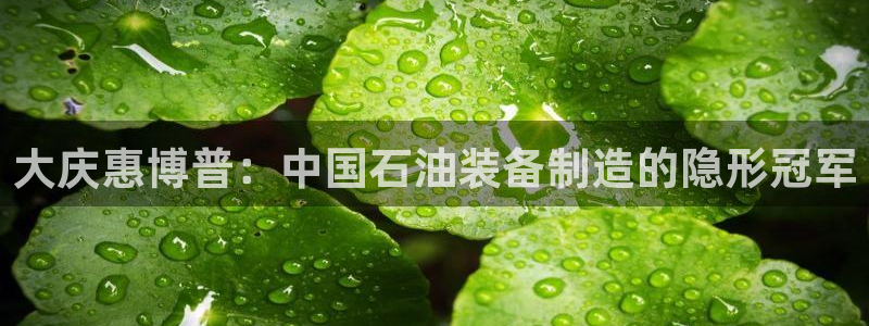 鸿运当头直播平台