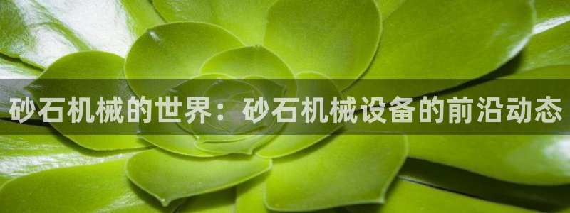 鸿运来手游平台