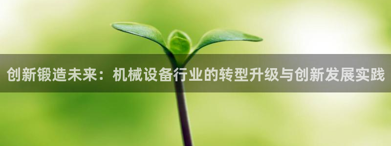 新鸿运娱乐平台