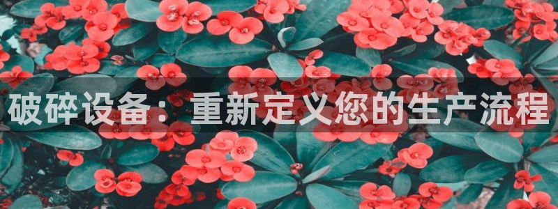 鸿运对战平台