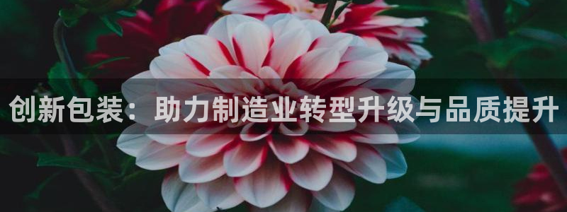 琥珀鸿运是什么平台