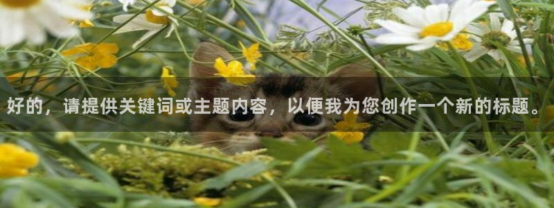 鸿运网络麻将平台