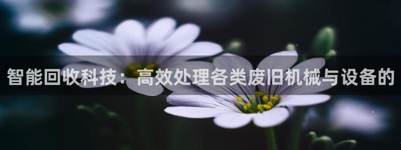 鸿运网是什么平台