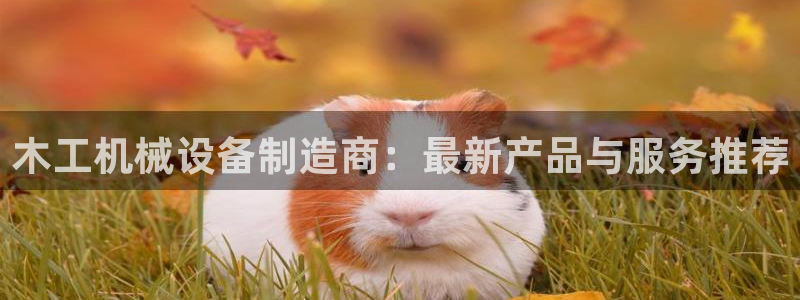 鸿运直播彩票平台