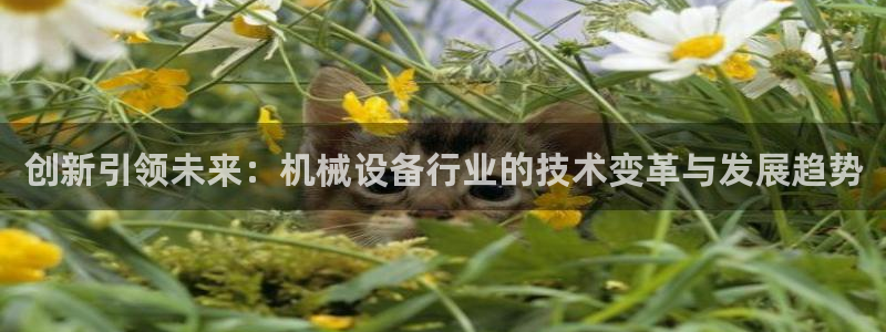 鸿运彩票专业平台