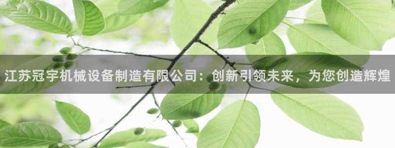 鸿运团队推广平台
