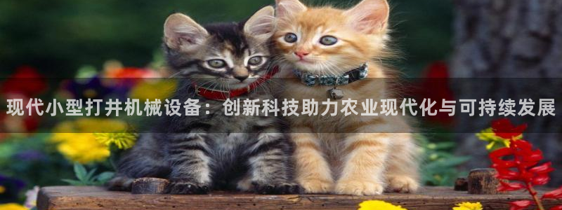 琥珀鸿运平台怎样赚钱的