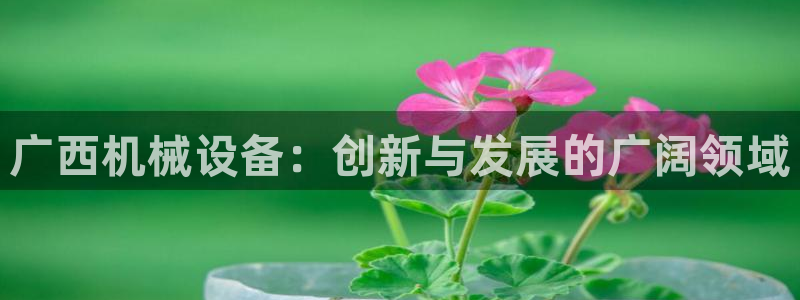 苏州鸿运阁直播平台