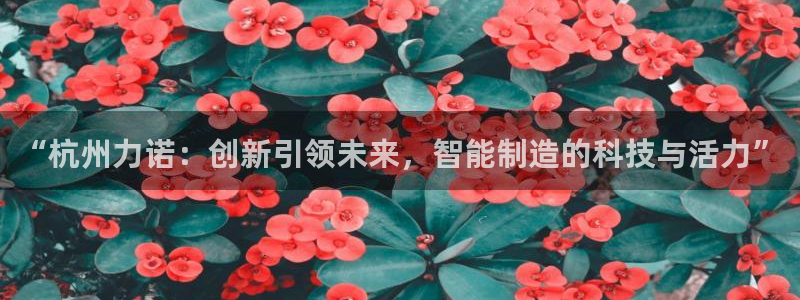 鸿运彩票平台快三