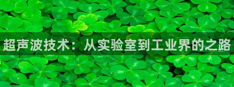 鸿运网是什么平台