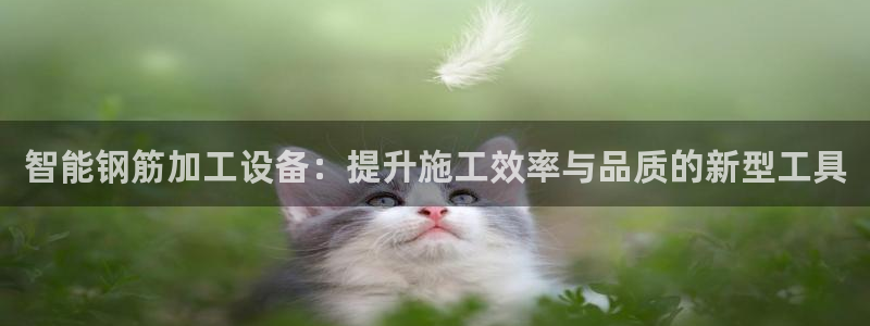 鸿运在线平台