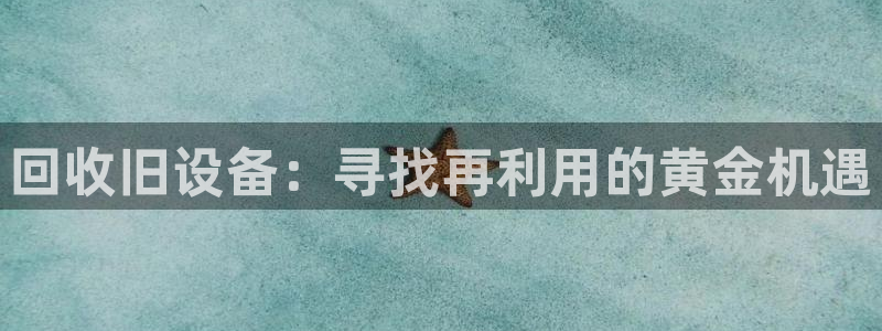 鸿运游戏平台投注