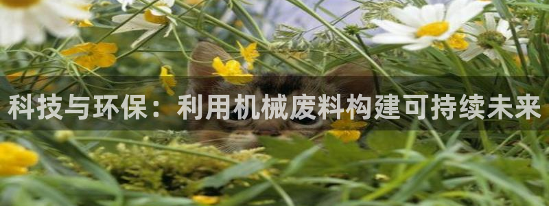 鸿运滚滚抽奖平台