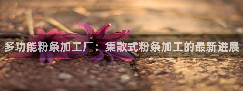 鸿运资本平台被骗