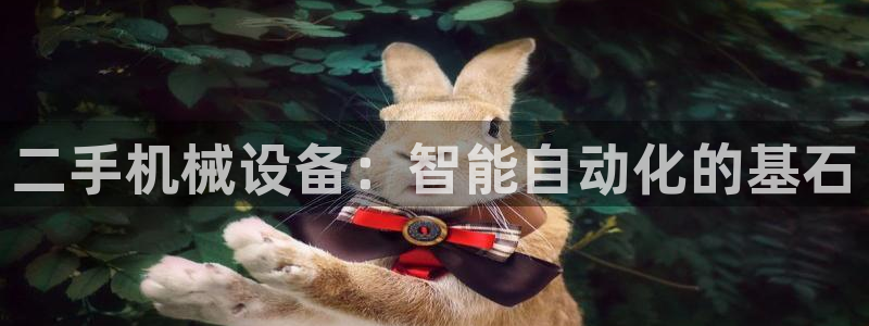 琥珀鸿运是怎样的平台