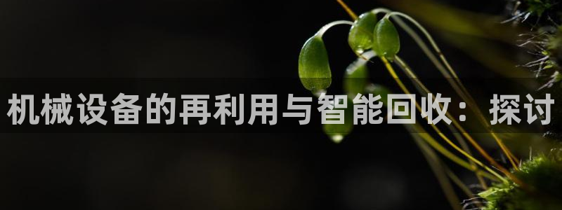 鸿运平台刷流水