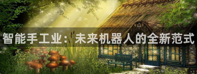 鸿运阿姨直播平台