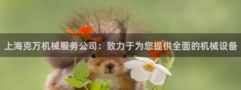 鸿运当头贷款平台